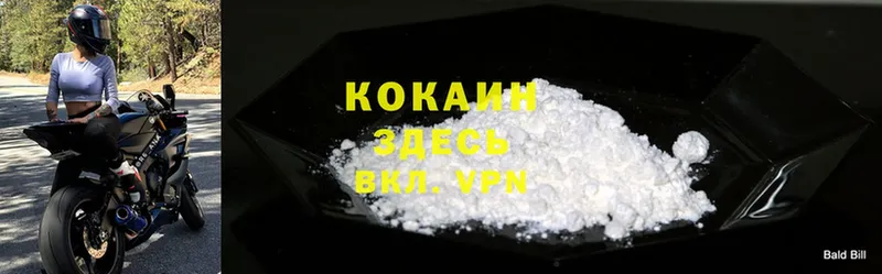 купить наркоту  Кострома  Cocaine Fish Scale 